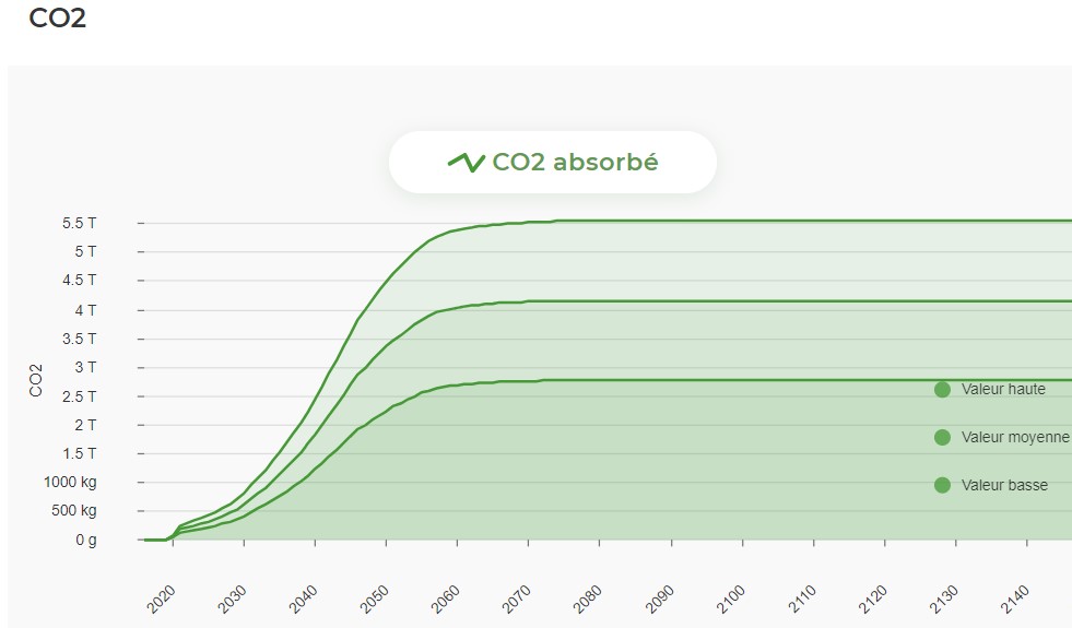 Absorption de co2 grace a EcoTree