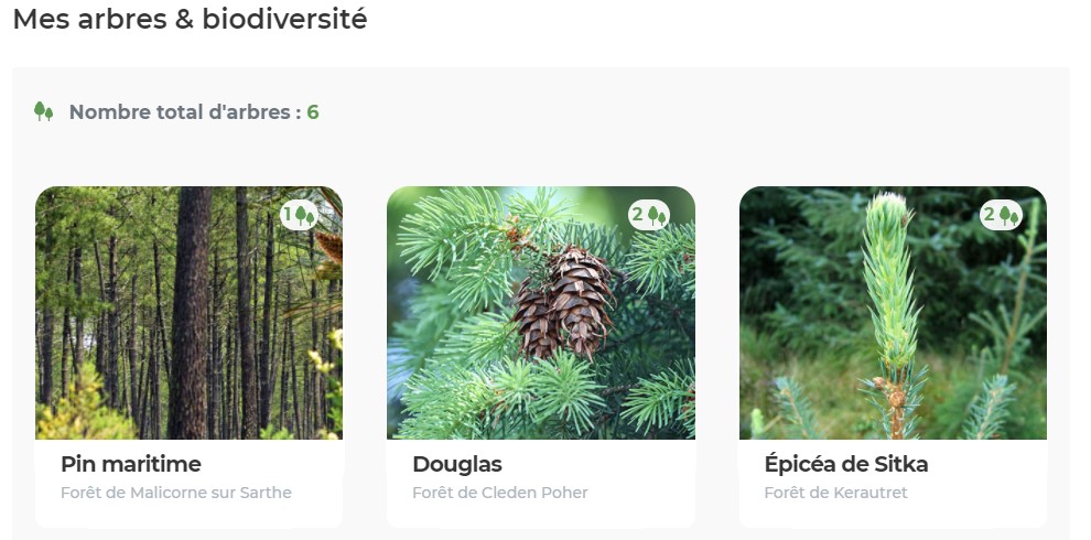 Votre forêt sur EcoTree